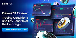 Effective Strategies for Deposit PrimeXBT Effective Strategies for Deposit PrimeXBT