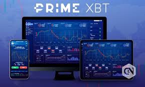 PrimeXBT vs Pocket Option Comprehensive Comparison Guide PrimeXBT vs Pocket Option Comprehensive Comparison Guide